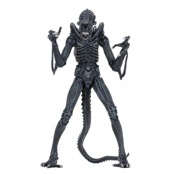 ALIENS - FIGURA DE ACCIÓN - ULTIMATE ALIENS WARRIORS