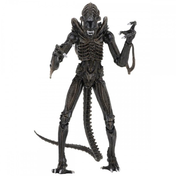 ALIENS - FIGURA DE ACCIÓN - ULTIMATE ALIENS WARRIORS