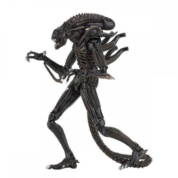 ALIENS - FIGURA DE ACCIÓN - ULTIMATE ALIENS WARRIORS