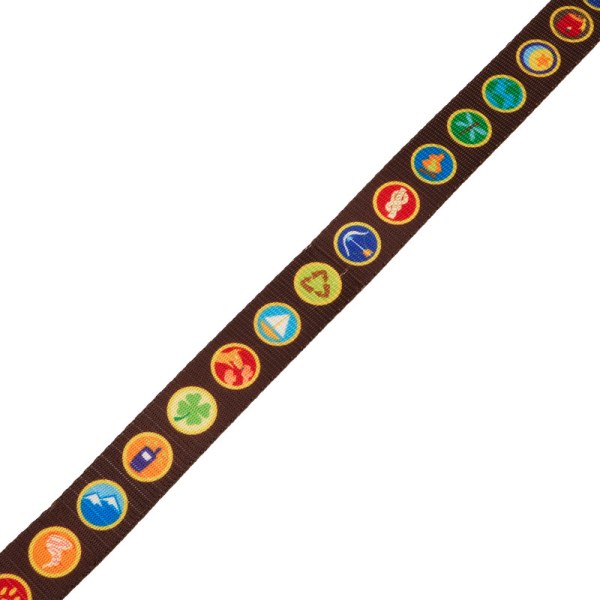 Correa Las insignias de explorador UP 15.° aniversario - DISNEY LOUNGEFLY