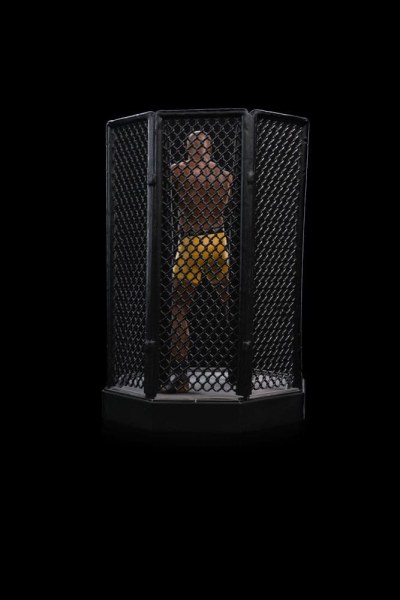UFC statuette 1/10 Deluxe Art Scale Anderson "Spider" Silva - Signed Version 22 cm