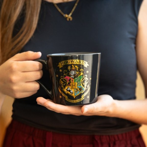 TAZA PREMIUM POUDLARD - HARRY POTTER