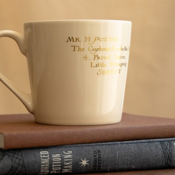 TAZA PREMIUM HEDWIGE - HARRY POTTER