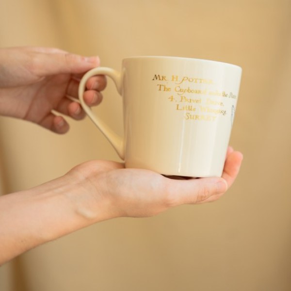 TAZA PREMIUM HEDWIGE - HARRY POTTER