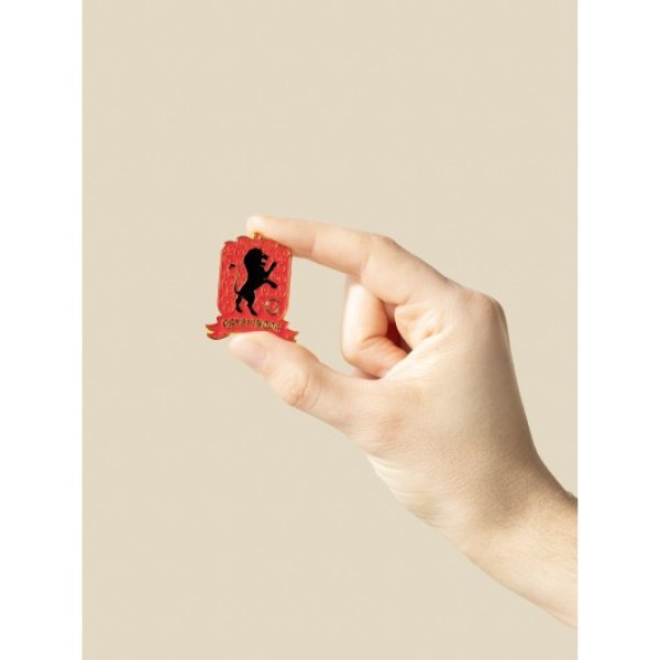 SET DE 4 PINS DE LAS CASAS DE HOGWARTS - HARRY POTTER