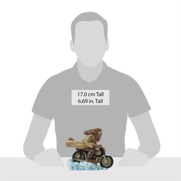 Hagrid en moto - Harry Potter