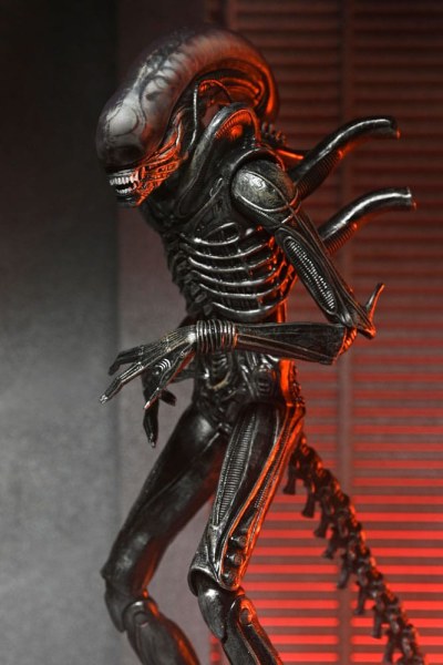 Alien: Figura de Romulus Ultimate Xenomorph XX121 18 cm