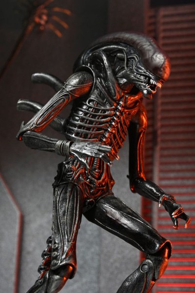 Alien: Figura de Romulus Ultimate Xenomorph XX121 18 cm