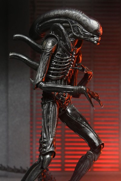 Alien: Figura de Romulus Ultimate Xenomorph XX121 18 cm