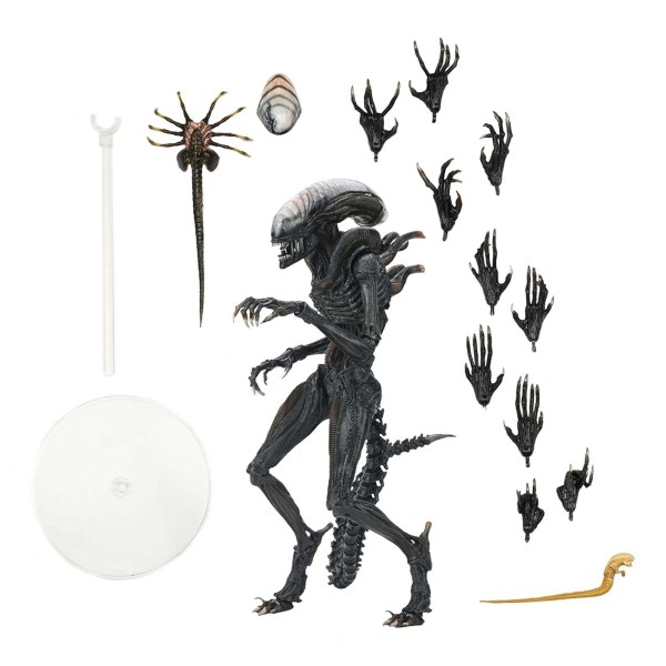 ALIEN: RÓMULO - FIGURA DE ACCIÓN A ESCALA DE 7" - XENOMORFO QUEMADO DEFINITIVO