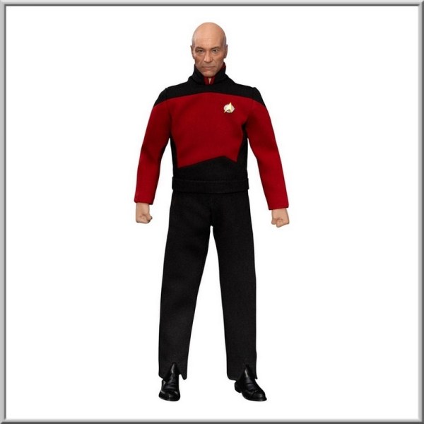 Figura de Jean-Luc Picard de 8 pulgadas de Star Trek: Generations