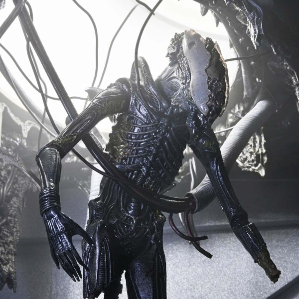 ALIEN: RÓMULO - FIGURA DE ACCIÓN A ESCALA DE 7" - LABORATORIO SUSPENDIDO DE LUJO XENOMORFO XX121