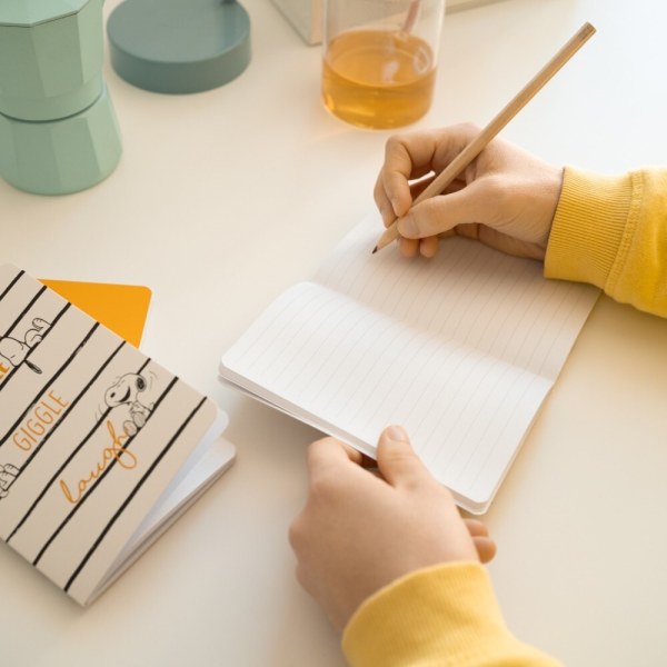 PAQUETE DE 3 CUADERNOS A6 DÍAS DE PEREZA - PEANUTS