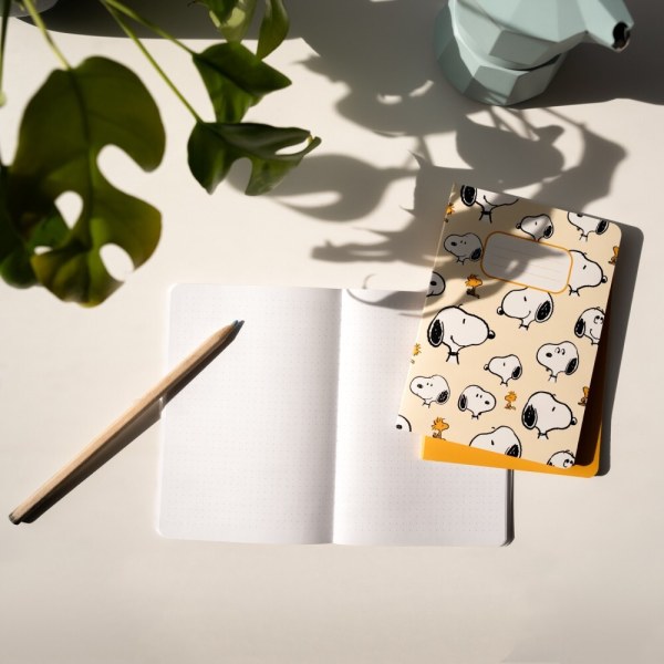 PAQUETE DE 3 CUADERNOS A6 DÍAS DE PEREZA - PEANUTS