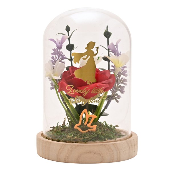 Campana de cristal decorativa e iluminada Blanca Nieves - Disney Pastel Princess