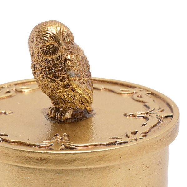 Caja de baratijas Hedwig - Harry Potter