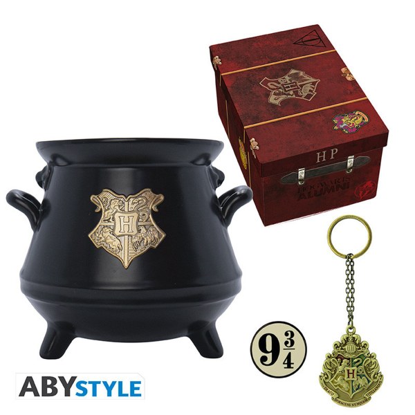 HARRY POTTER - Pack premium Taza 3D + Llavero 3D + Pin Maleta Hogwarts