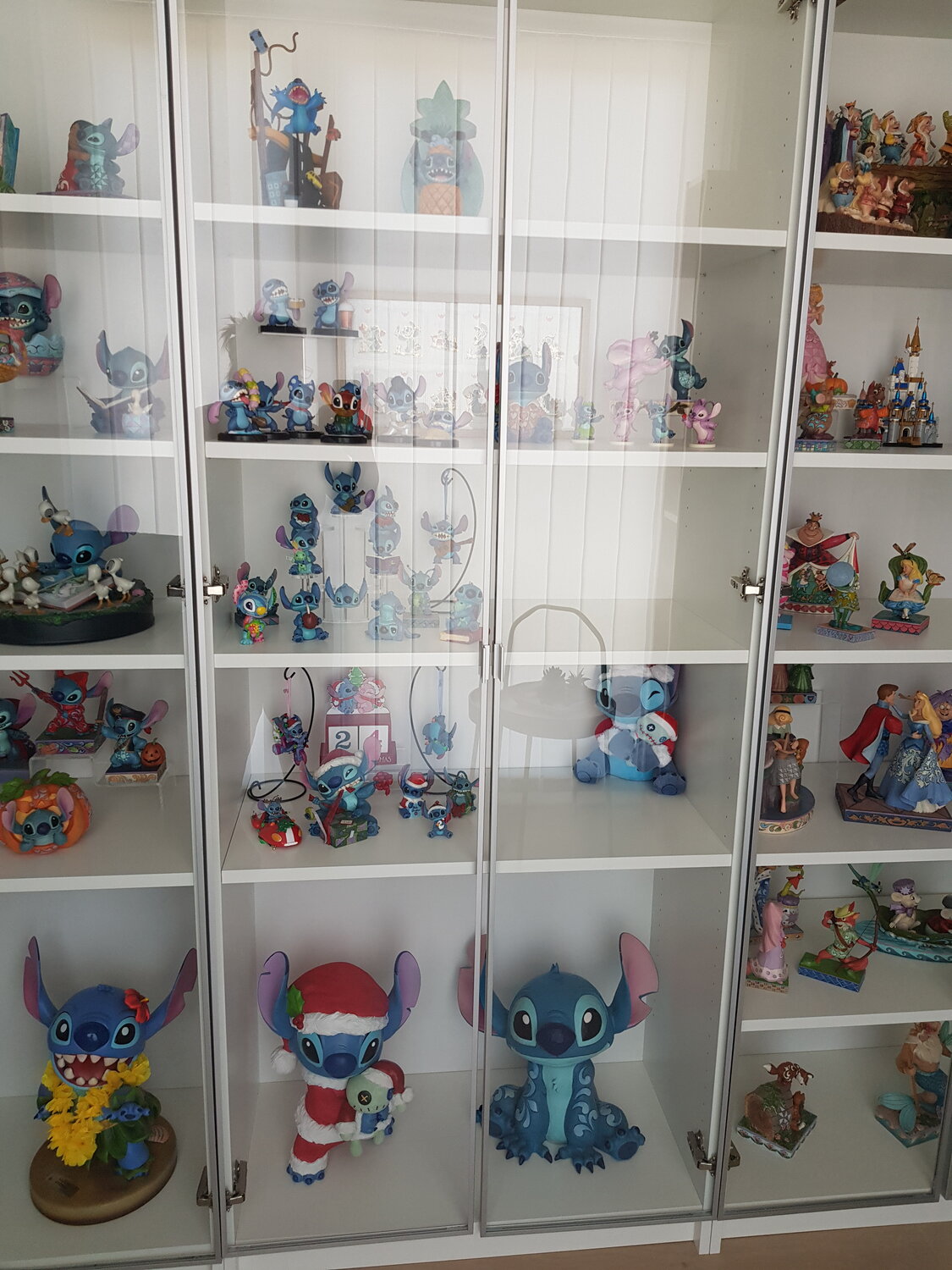 Foto del cliente