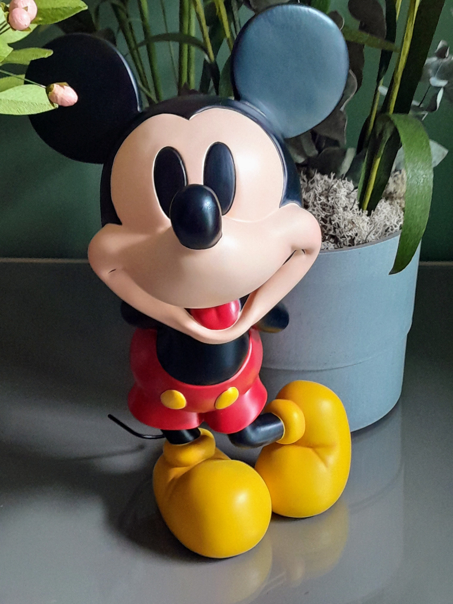 Foto del cliente