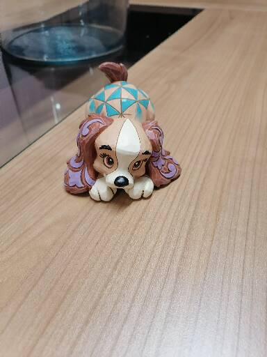 Foto del cliente