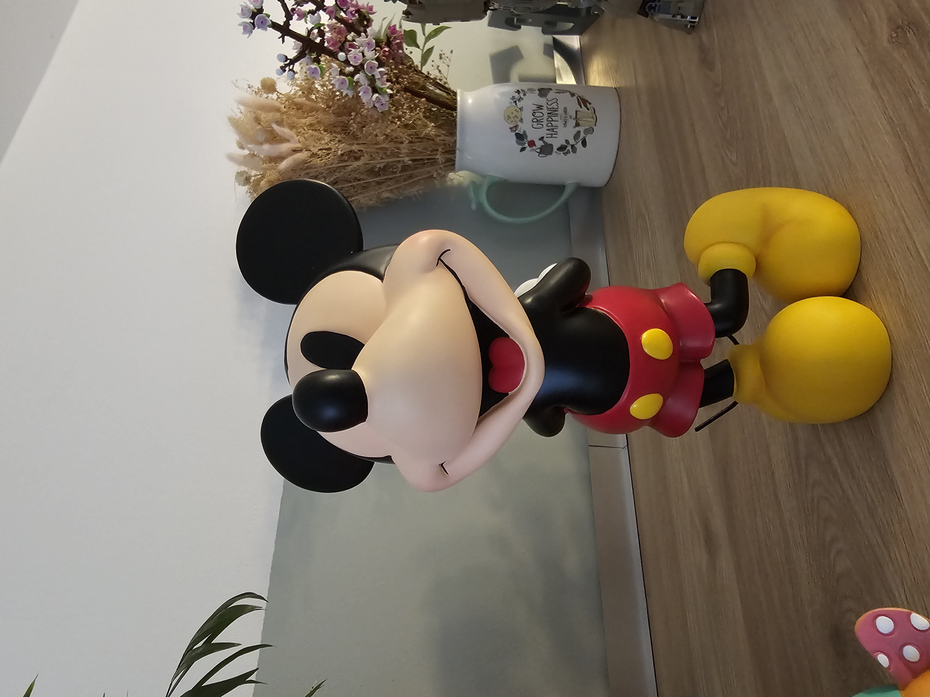 Foto del cliente